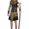 Ancient Pharaoh Adult Costume -Men's Costumes Sales adult ancient pharaoh