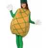 Adult Pineapple Costume