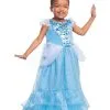 Disney: Cinderella Adaptive Costume