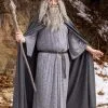 Plus Size Gandalf Lord Of The Rings Men's Costume