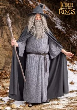 Plus Size Gandalf Lord Of The Rings Men's Costume