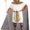 Plus Size King Tut Costume For Men