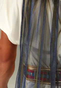 Plus Size King Tut Costume For Men 15 Plus Size King Tut Costume For Men -Men's Costumes Sales plus size king tut costume alt 5