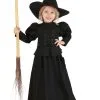 Girl's Wizard Of Oz Toddler Wicked Witch Costume 1 Girl's Wizard Of Oz Toddler Wicked Witch Costume -Men's Costumes Sales wizard of oz toddler wicked witch costume